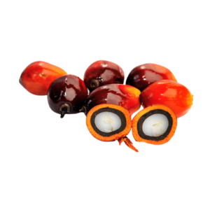 Crude Palm Oil