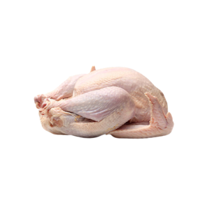 Frozen Chicken