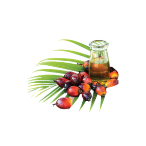 RBD Palm Olein