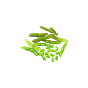 RBD Soybean Oil