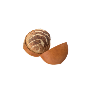 Shea Nut