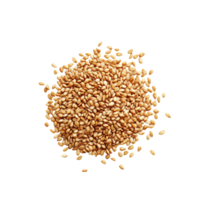 Sesame Seed