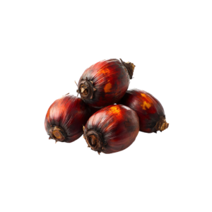 Technical Palm Oil